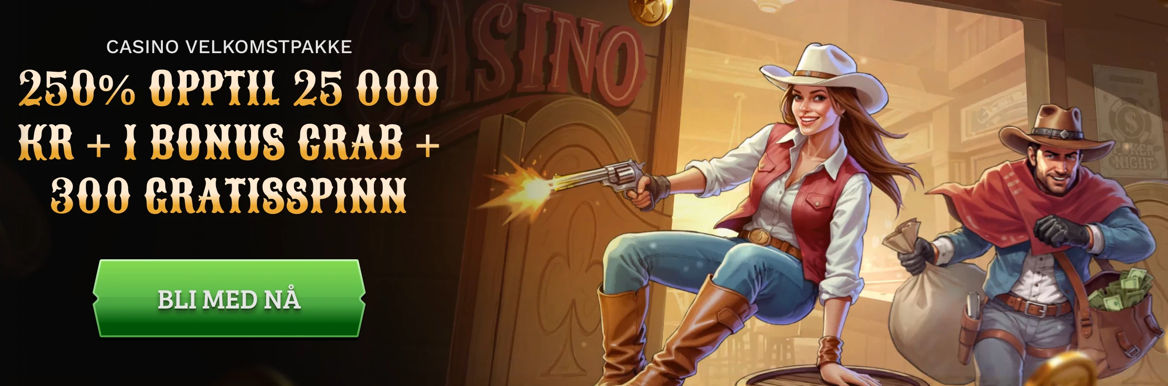 Wildsino Casino banner